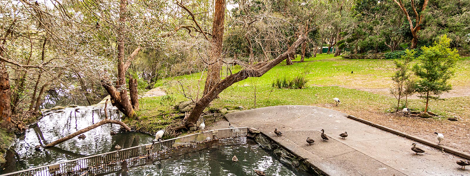 Portraits in the Park